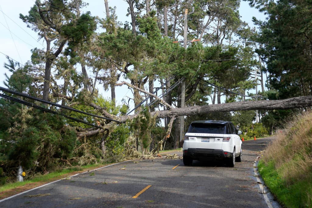 Un vehículo se acerca a un árbol caído y a cables eléctricos en Pebble Beach, California, el domingo 4 de febrero de 2024. (Foto AP/Ryan Sun)