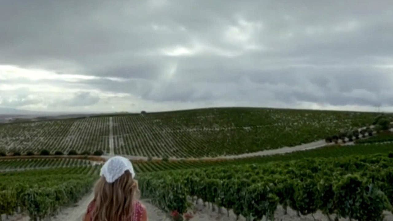 Premios Juventud y estilo de vida: conoce la historia y tradición de uno de los vinos más vendidos en el mundo
