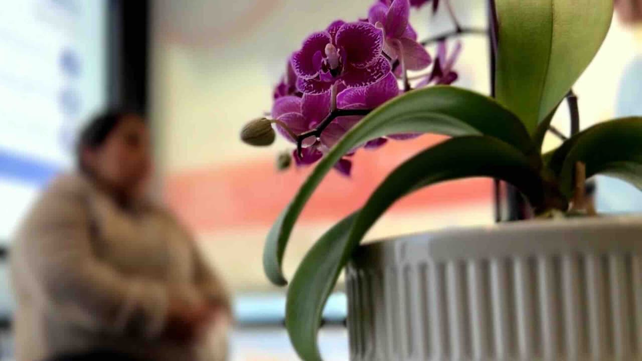 Anuncian cierre de la corte de inmigración en San Francisco: Así podría afectar a la comunidad inmigrante