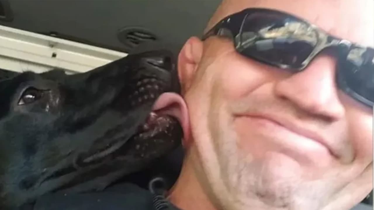 Cualquier persona que tenga información sobre este caso debe comunicarse con la Oficina del Alguacil del condado de Wake al (919) 306-6931, o también al (919) 306-7748.