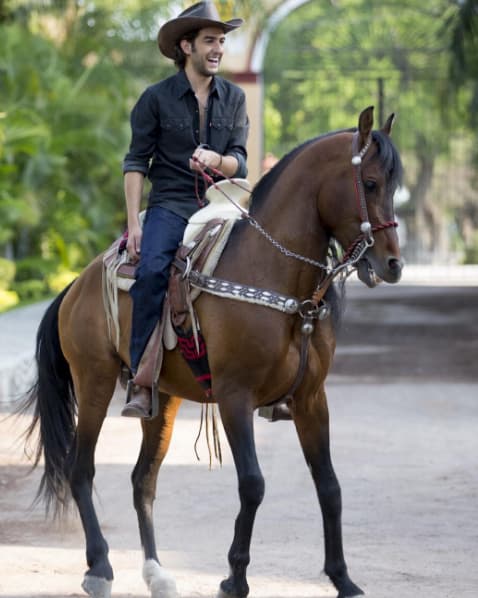 En la pantalla chica debutó con la novela 'Niñas mal' en su segunda temporada, en 2013. Un año más tarde formó parte del elenco de la novela 'Mi corazón es tuyo' donde interpretó a 'León González'.
