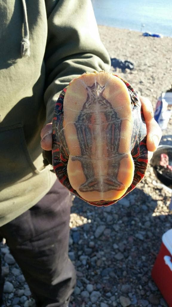 Un grupo de pescadores se encontraban en Spring Valley cuando hicieron un descubrimiento que para muchos podría estar relacionado con la fe.