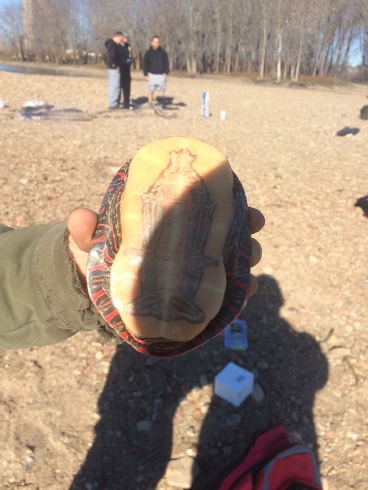 Fue cuando según aseguran vieron lo que parecía ser una imagen de la virgen.