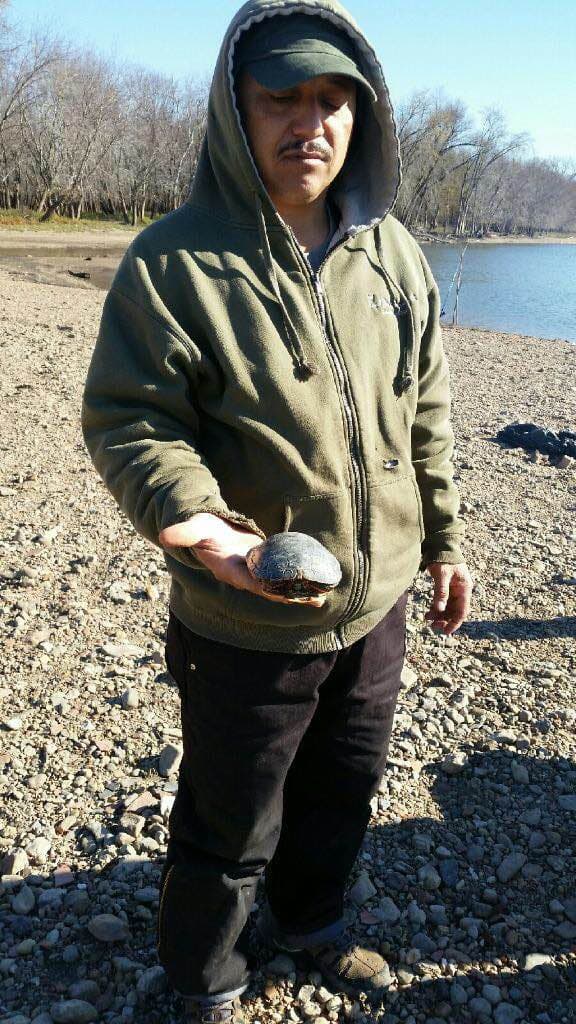 Uno de los miembros del grupo la agarró y no se había dado cuenta de la imagen hasta que alguien notó algo en el caparazón de la tortuga.