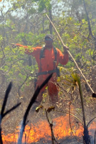 El portavoz de los bomberos de Brasilia, el coronel Paulo Roberto, afirmó que la intensa sequía, que en esta región del centro de Brasil dura desde el pasado abril, causó un aumento de un 85 por ciento en los incendios en todo el país comparado con el promedio de años anteriores.