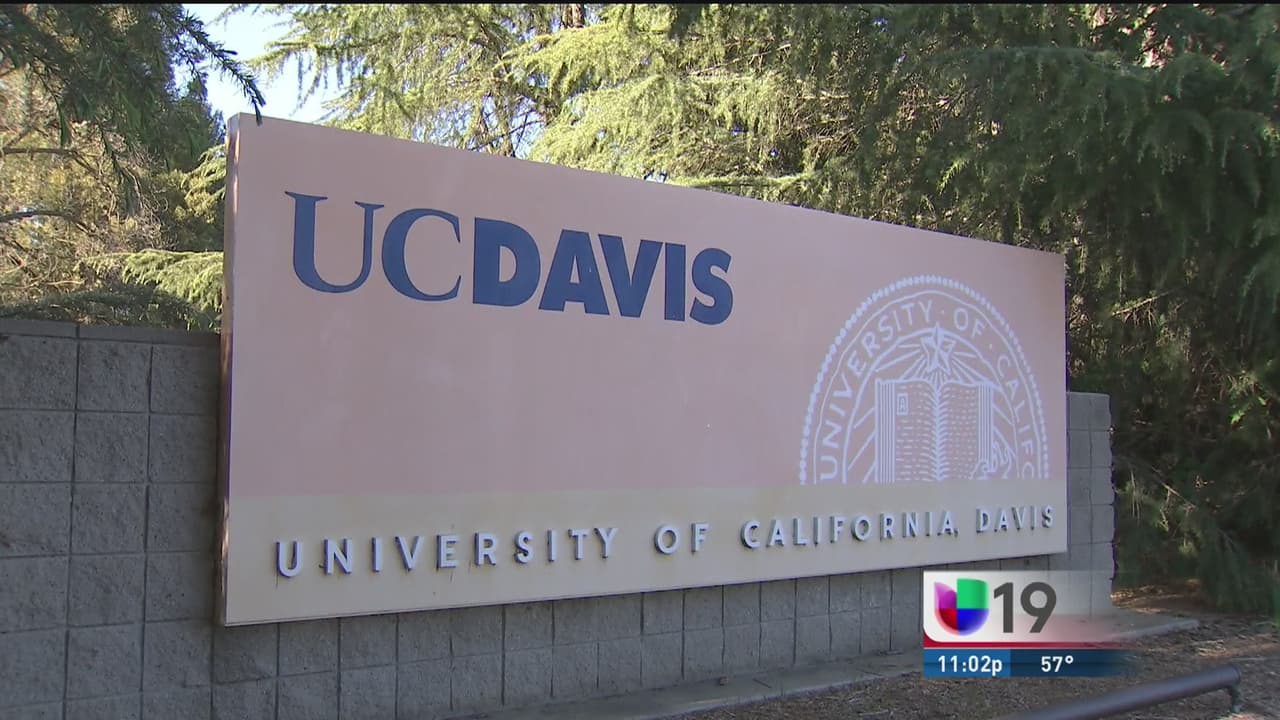 Investigan supuesto nepotismo de rectora de recinto de la Universidad de California