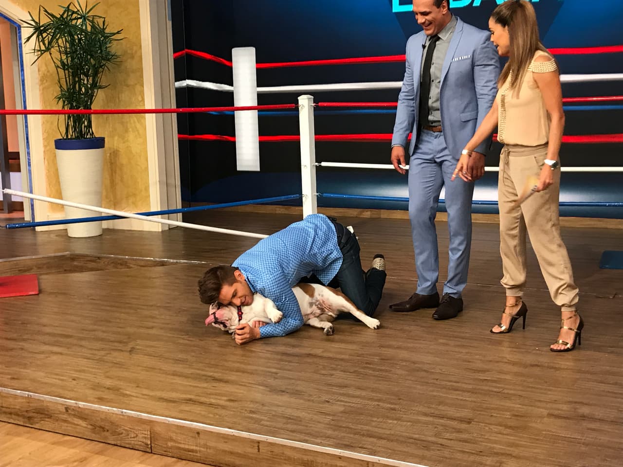 Aunque más bien, parece que lo que Benito quería era un abrazo.