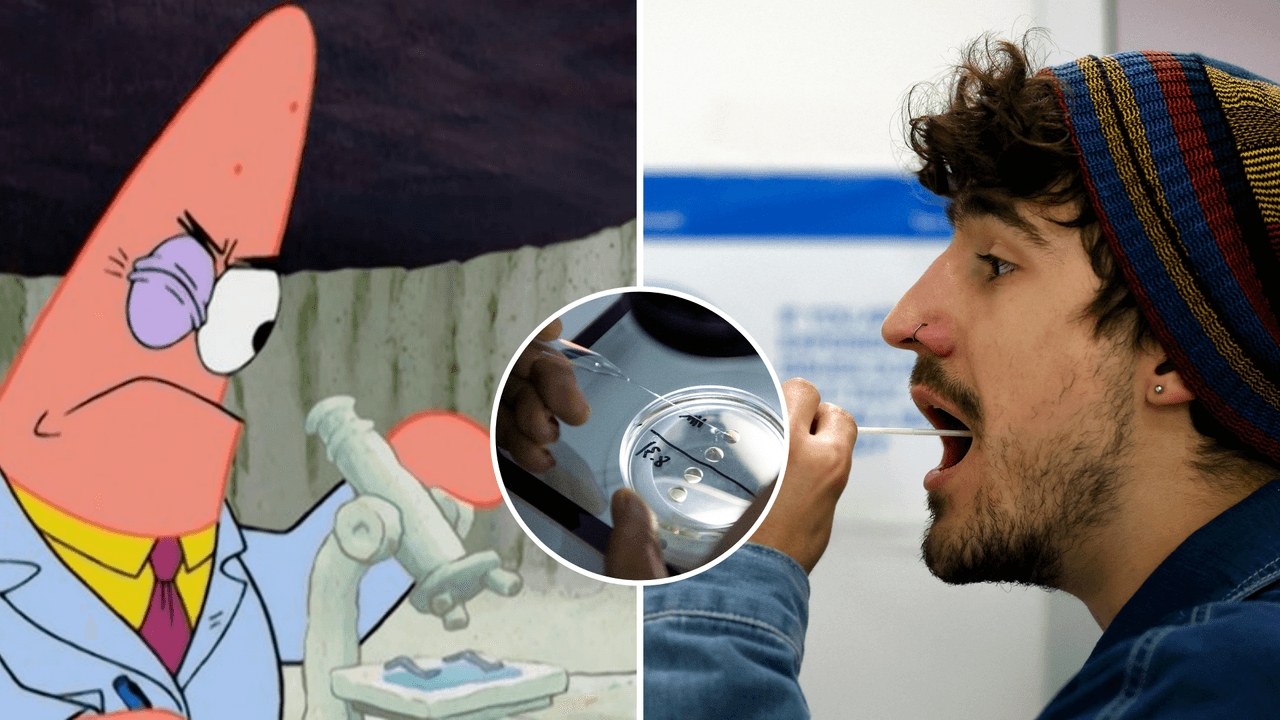 Científicos descubren una nueva ‘forma de vida’ dentro de los seres humanos: ¿qué son los obeliscos?