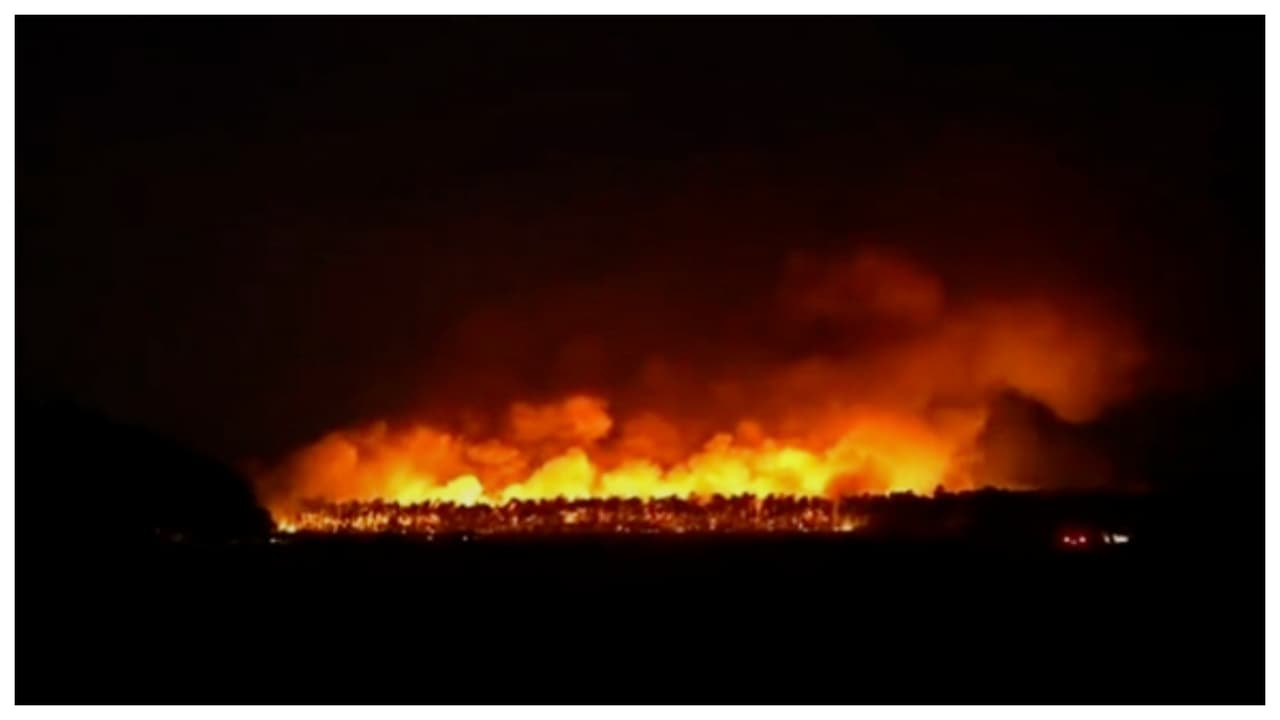 Al menos 5,000 acres del bosque Bass River se han quemado en incendio 
