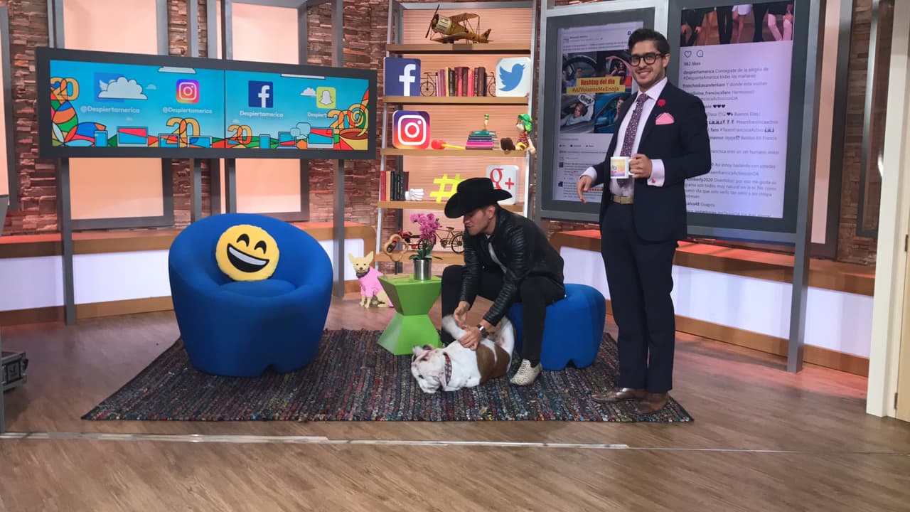 A Benito le encanta que su dueño le rasque la pancita entre comerciales.