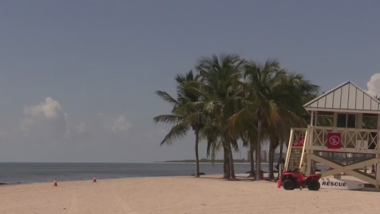 Estas playas de Miami-Dade están cerradas por altos niveles de bacterias fecales 
