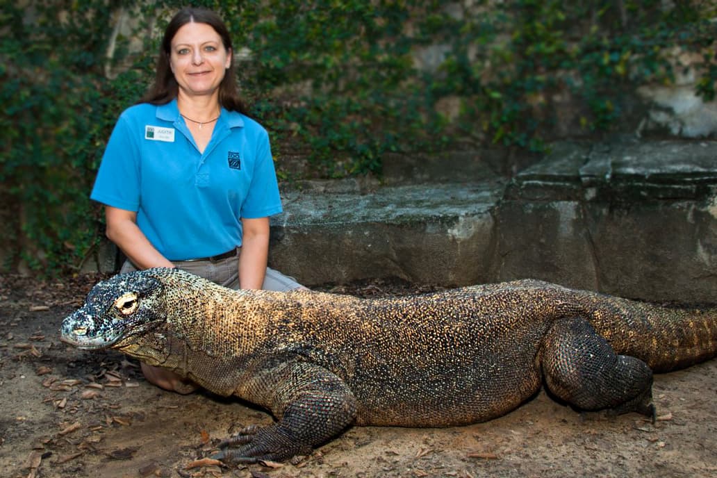 Adiós a uno de los animales más icónicos del Zoológico