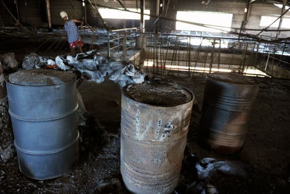 Para tres escuelas de samba, el incendio terminó con largas horas de trabajo dejando sólo cenizas del material con el que contaban para el carnaval.