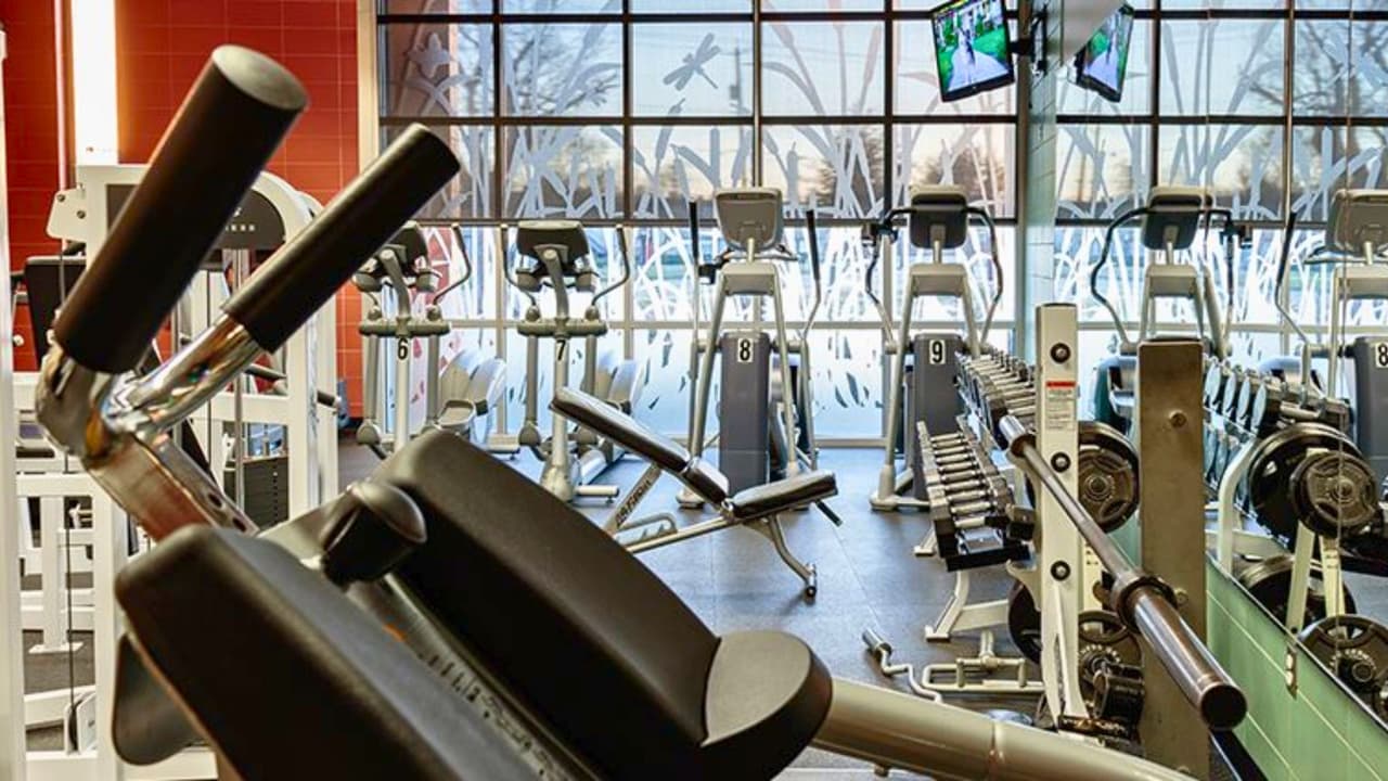 Mientras tanto, The Hollabaugh Recreation Center ha sido equipado con
<b>un nuevo gimnasio de baloncesto con pista de caminar, dos salas de usos múltiples y una moderna sala de fitness </b>(Algunas actividades incluyen un costo).