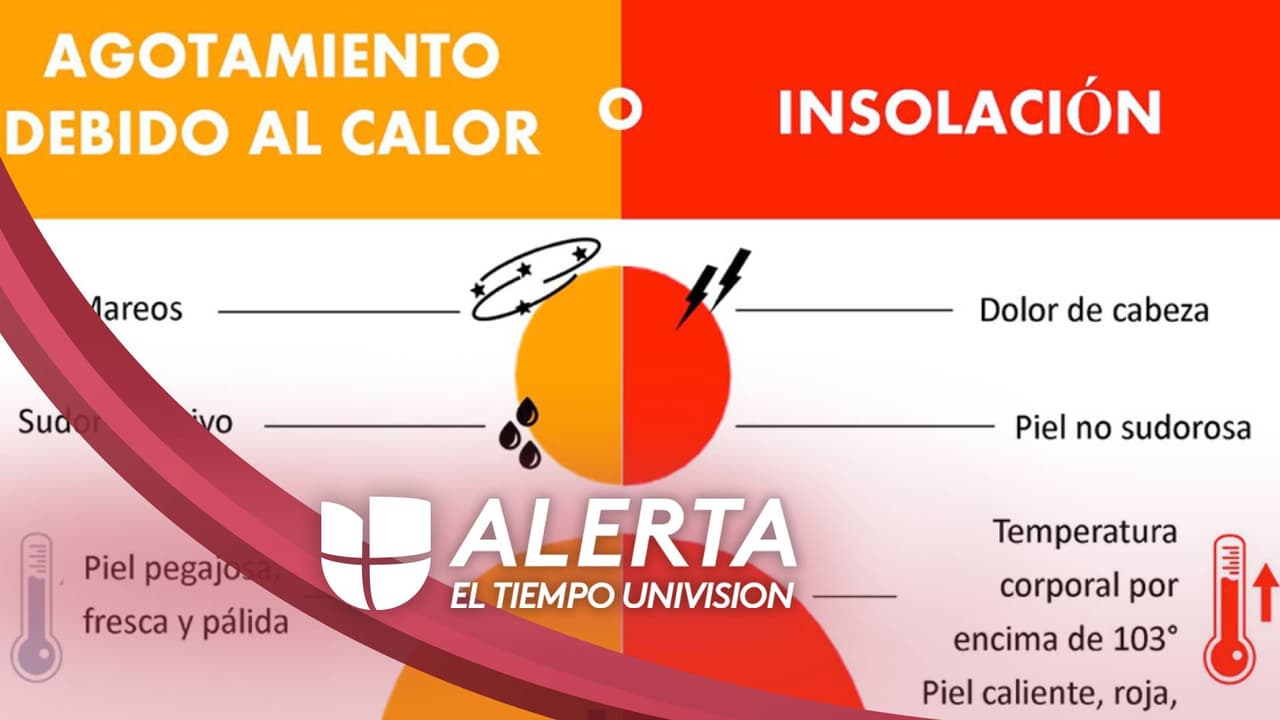 Ten en cuenta que el aire acondicionado casero es una solución temporal y servirá para espacios reducidos. Durante períodos muy calurosos debes revisar frecuentemente las condiciones de niños, ancianos y enfermos en casa.