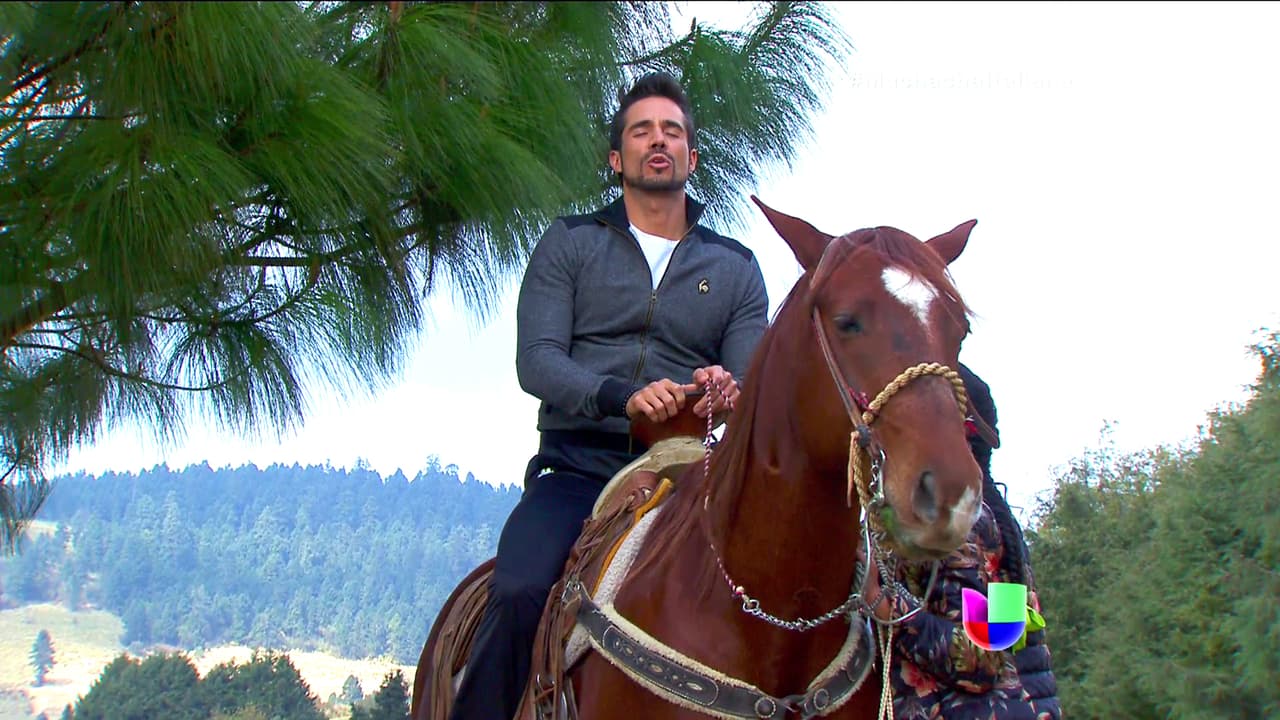 ¡Tienes que vencer tus miedos Pedro!