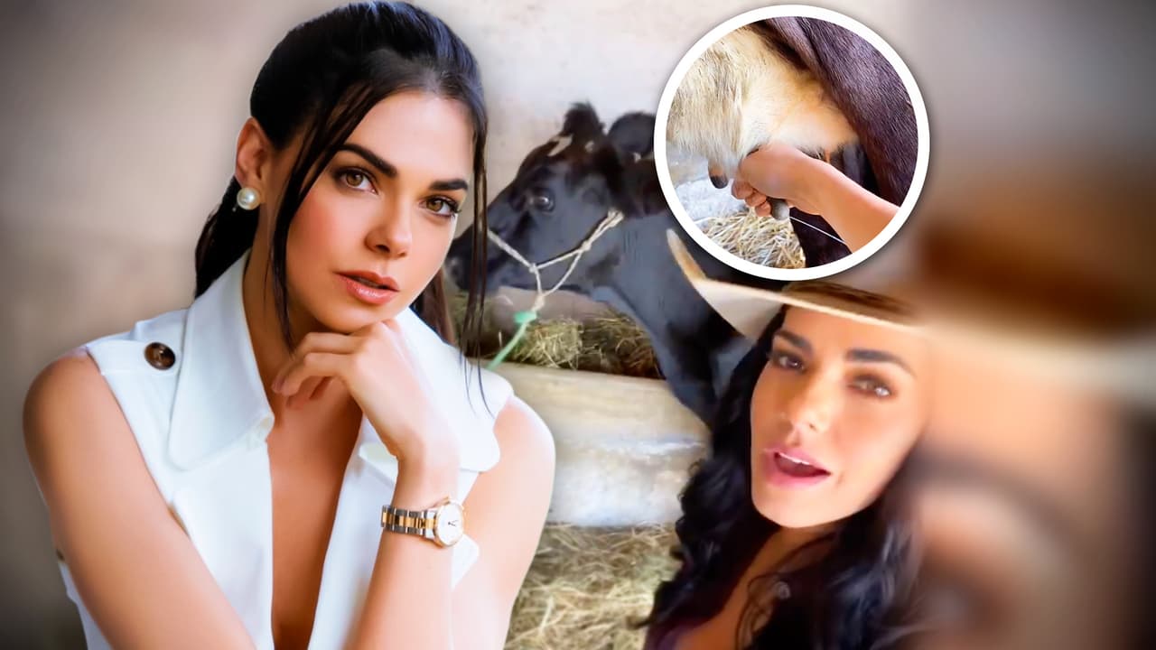 Livia Brito domina el arte de ordeñar una vaca, pero se llevó un coletazo