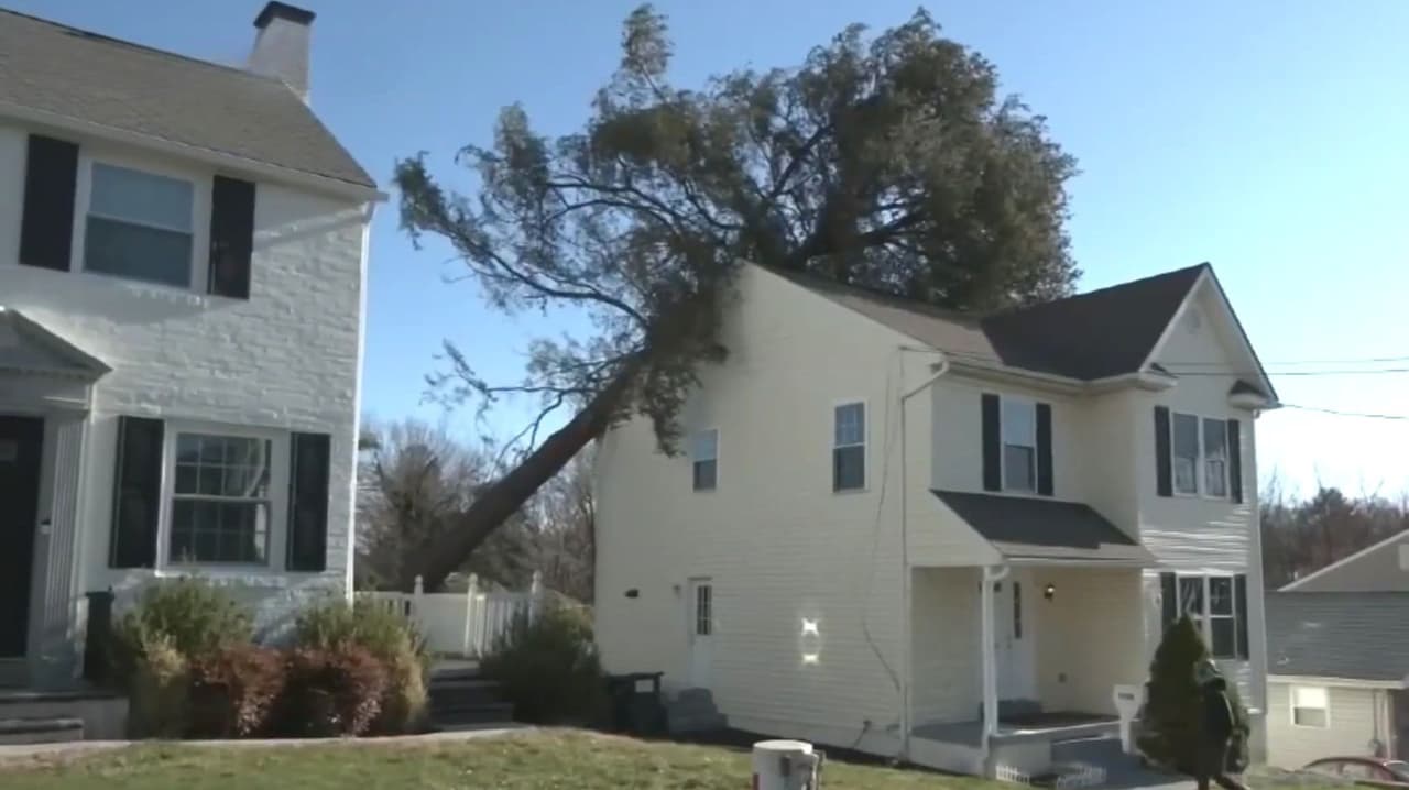 Labores de limpieza tras tormenta en el área de Filadelfia; vecinos reportan afectaciones