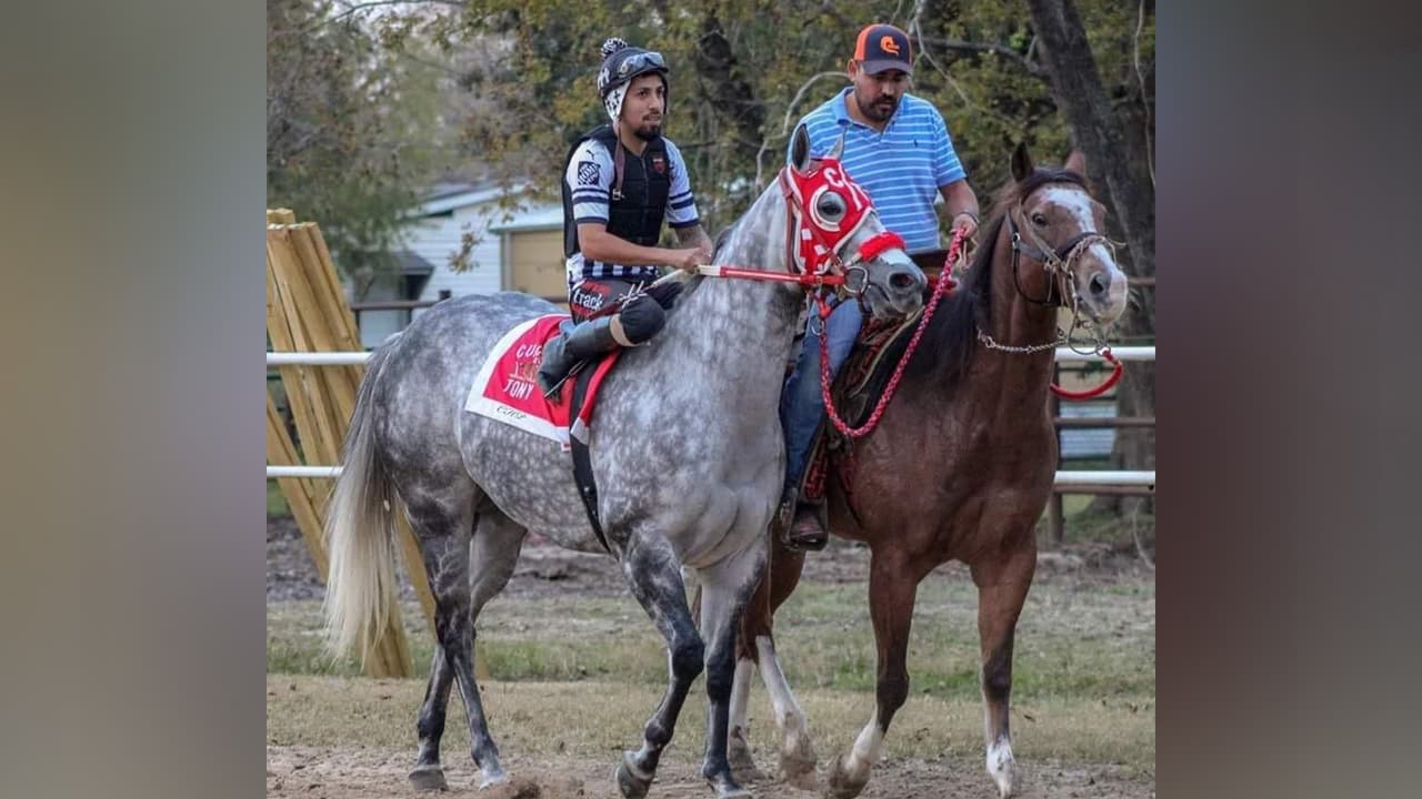 José S Figueroa compartió esta fotografía.