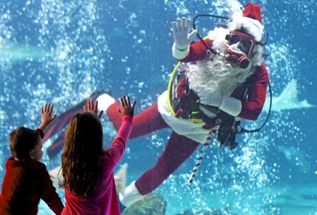 <b><a href="https://www.adventureaquarium.com/explore/special-events/christmas-underwater/">Christmas Underwater at Adventure Aquarium (Hasta el 24 de diciembre)</a></b>. Esta celebración de temporada bajo la superficie presenta un Papá Noel buceando, exhibiciones de luces subacuáticas e incluso un árbol de Navidad subacuático.