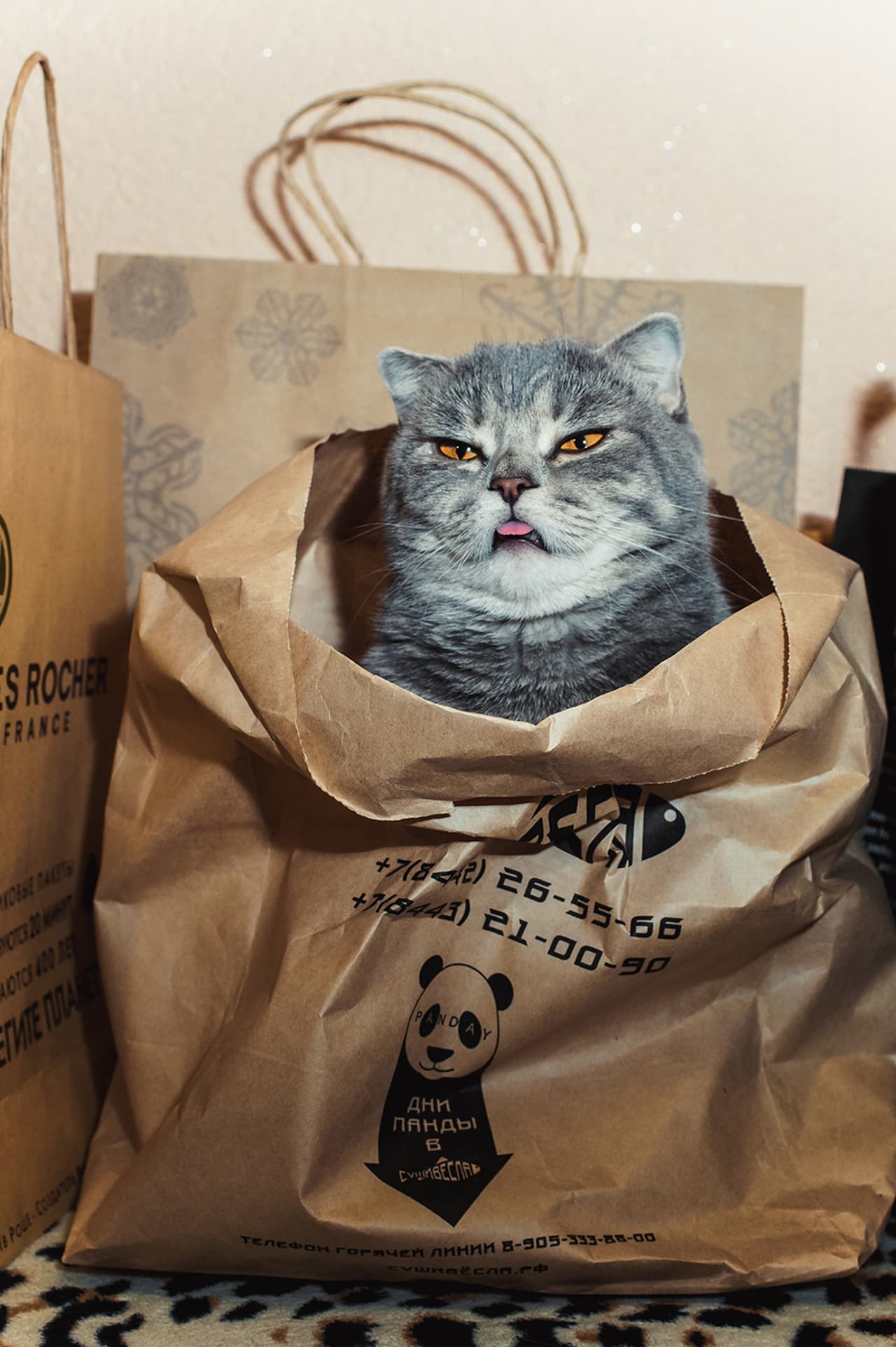 Su característica principal la hace verse muy chistosa.