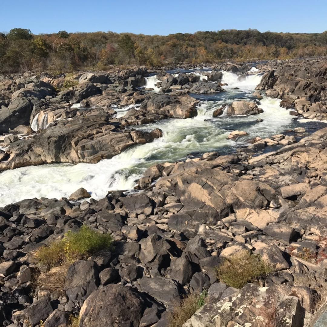 <b>“Corra la justicia como corriente inagotable": el tuit viral de James Comey </b>
<br>El ex director del FBI James Comey 
<a href="https://www.univision.com/noticias/politica/corra-la-justicia-como-corriente-inagotable-el-tuit-viral-y-biblico-de-james-comey-cuando-se-entero-de-las-declaraciones-de-flynn">usó un pasaje bíblico</a> para presagiar que Michael Flynn, ex asesor de Seguridad Nacional de Trump, era culpable de haberle mentido. “Pero corra el juicio como las aguas y la justicia como corriente inagotable”, escribió Comey en Twitter. En su cuenta de Instagram incluyó una imagen del caudal de un río.