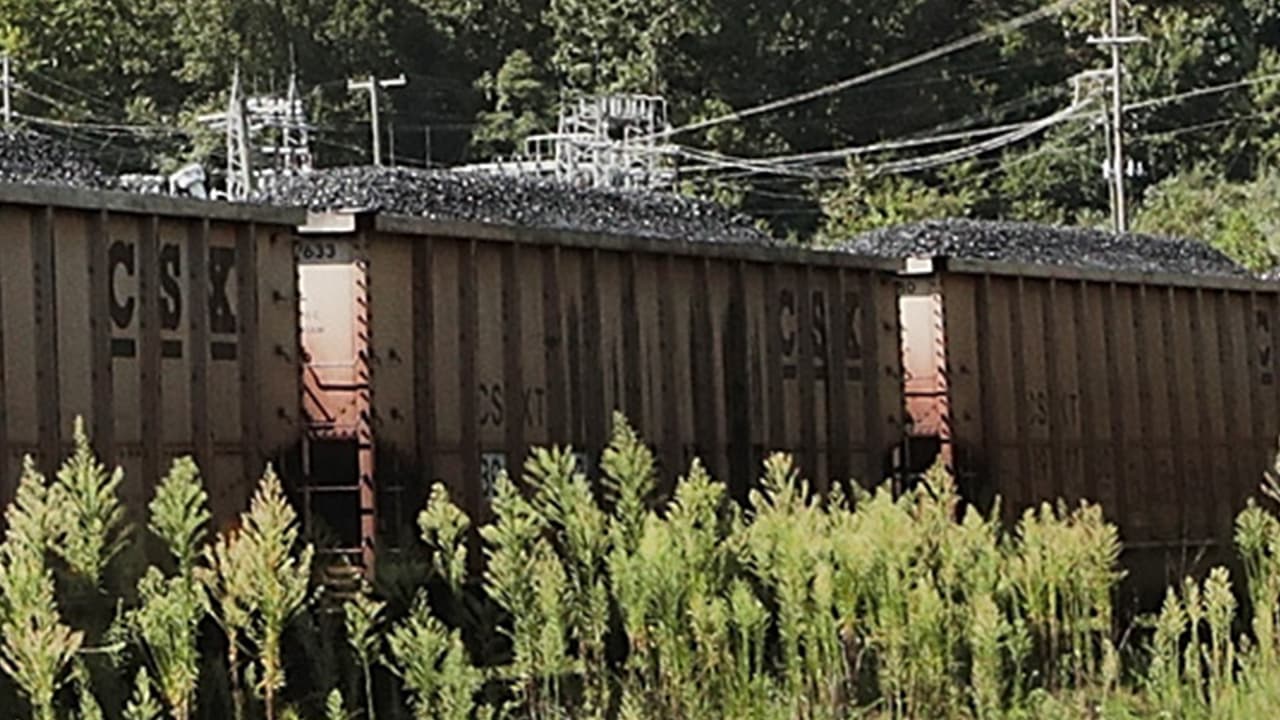 Al menos 10 vagones de un tren se descarrilan en el condado Polk