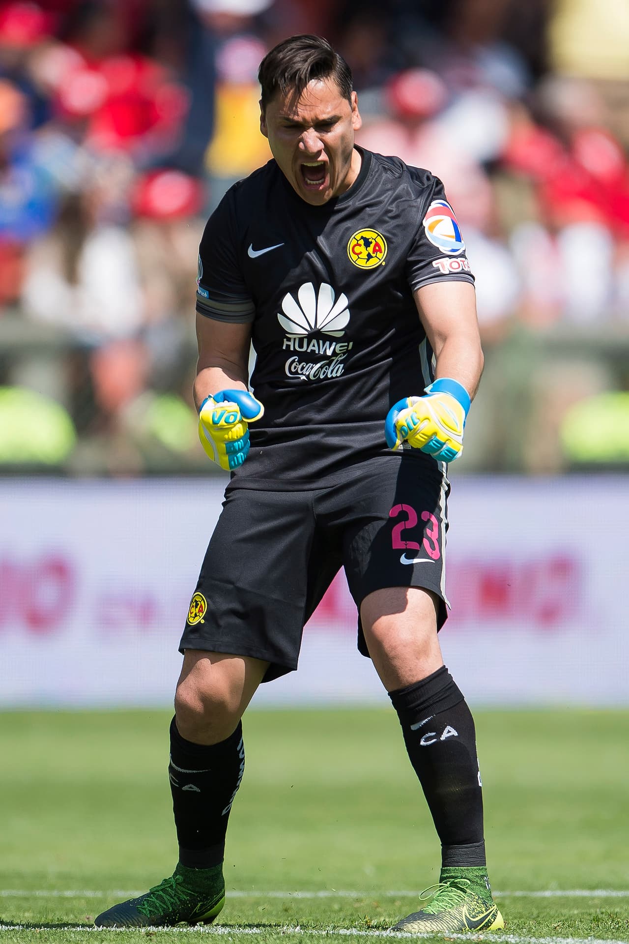 Moisés Muñoz ha vivido una auténtica revancha en este 2015 luego de que hace un año quedara fuera de la lista definitiva del Tri en el Mundial de Brasil, ya que en este ciclo ha logrado sobresalir hasta estar en la pelea por ser el nuevo arquero titular de la Selección Mexicana.