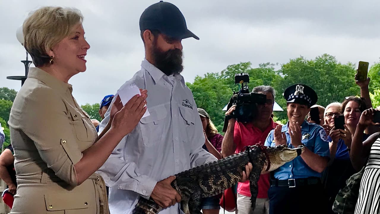 De izquierda a derecha: Kelly Gandurski, directora de CACC, Frank Robb, experto en capturar cocodrilos y caimanes, el caimán de Humboldt Park.