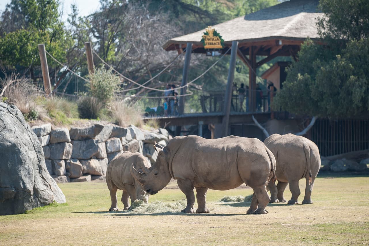 Un bello dia fue perfecto para las familias desde Bakersfield a Modesto.