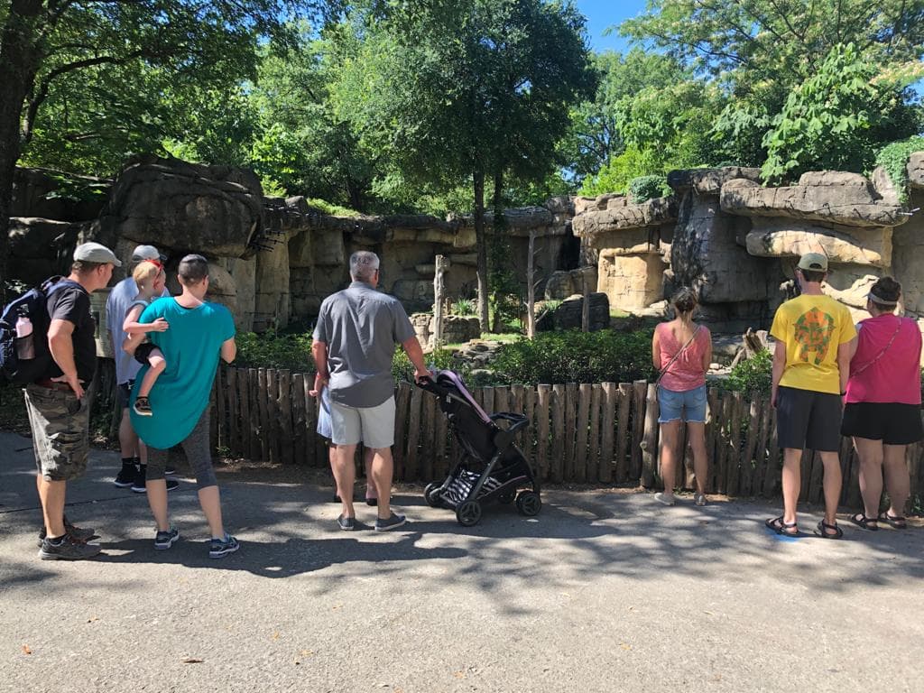 El zoológico de Dallas informó que recomienda a los asistentes mayores de dos años a usar mascarillas durante su visita pero que no es obligatorio.
<br>