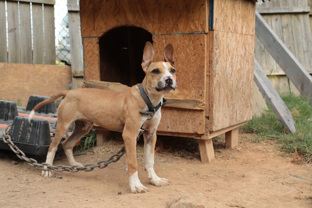 La venta y consumo de droga es otro delito que suele ocurrir durante estos eventos clandestinos.