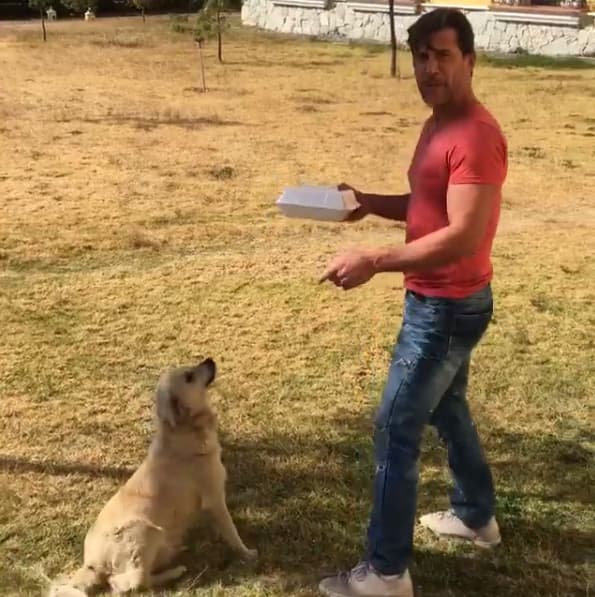 Pues esta perrita de la calle llegó a una de las locaciones en donde se graba "Un camino hacia el destino".