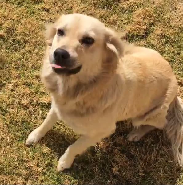 Jorge y algunos de sus compañeros la llaman 'Chula', ¡y vaya que sí lo es!