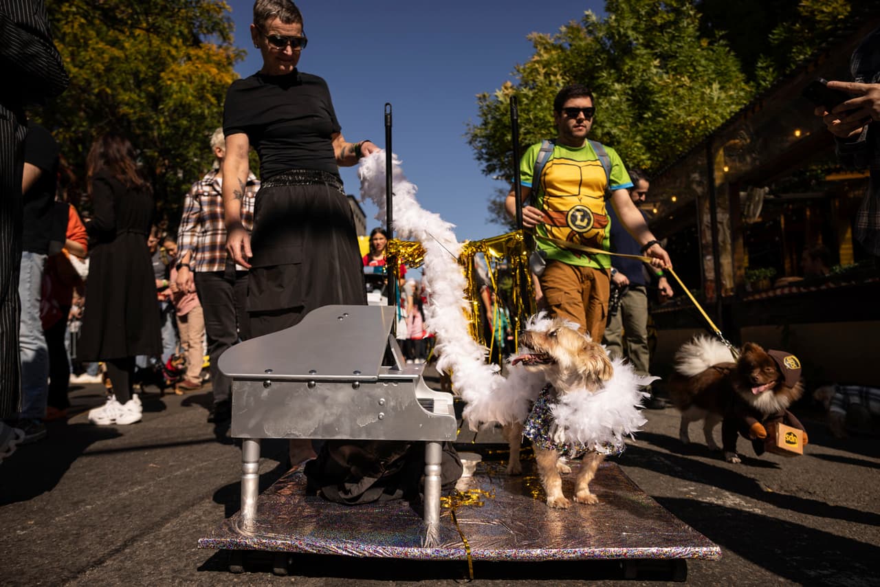 Los perritos y sus dueños combinaron atuendos originales para 
<b>recorrer las calles de Manhattan</b>.
<br>