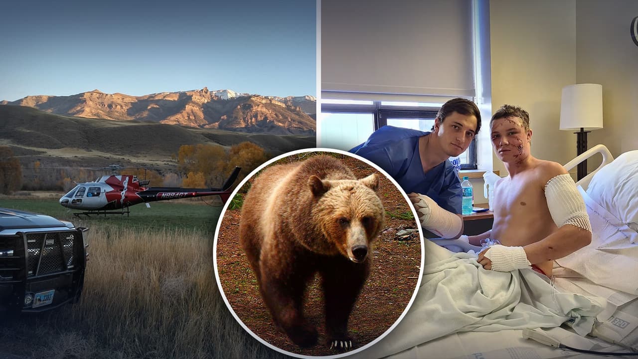 Luchadores universitarios ganan la pelea de sus vidas contra un oso grizzly: ¿Cómo te puedes defender de un ataque?