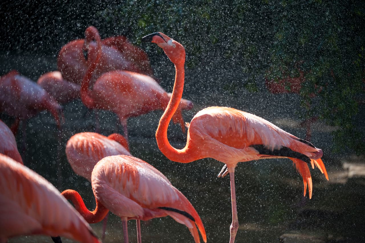 Un bello dia fue perfecto para las familias desde Bakersfield a Modesto.