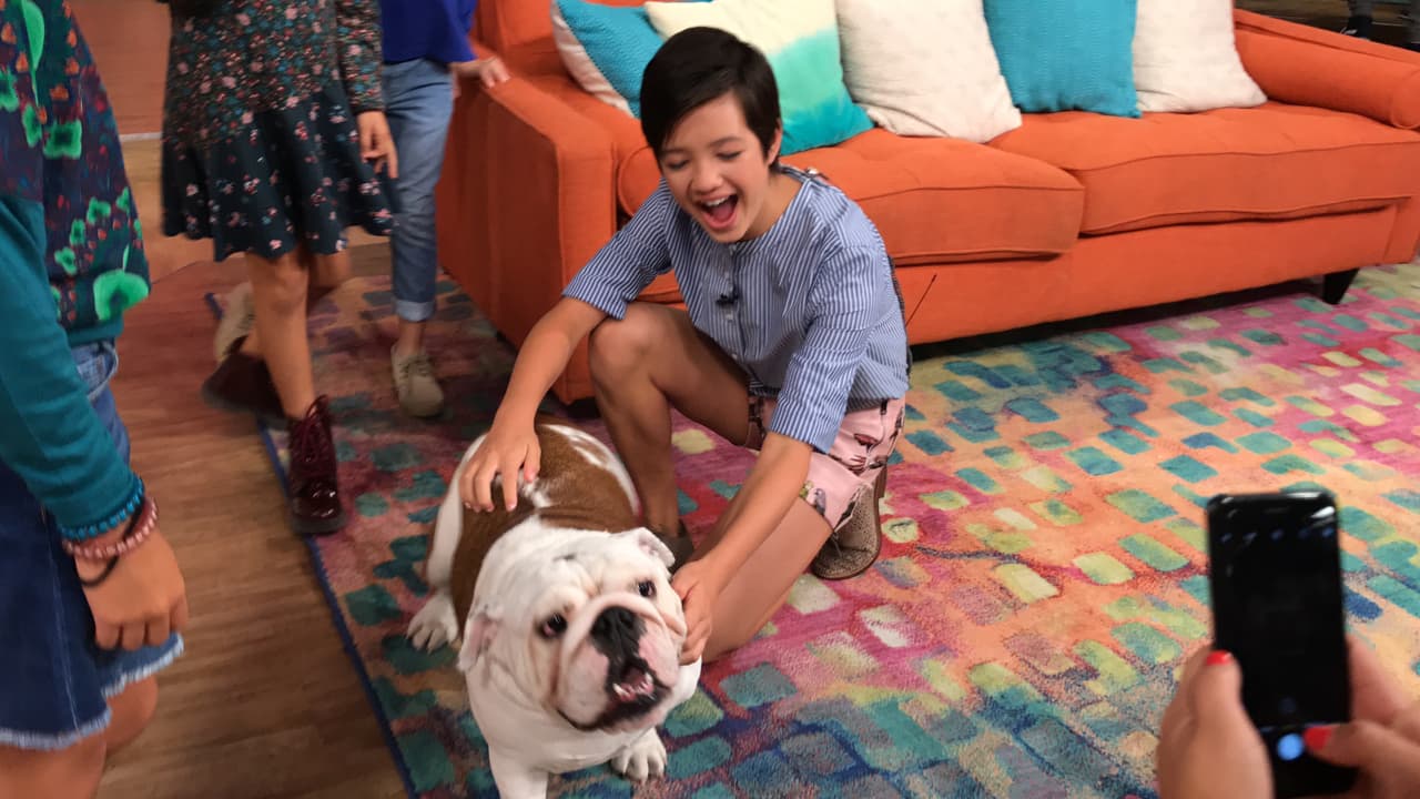 Benito, el perro de El Dasa, pasó a saludarla y ella quedó encantada con él.