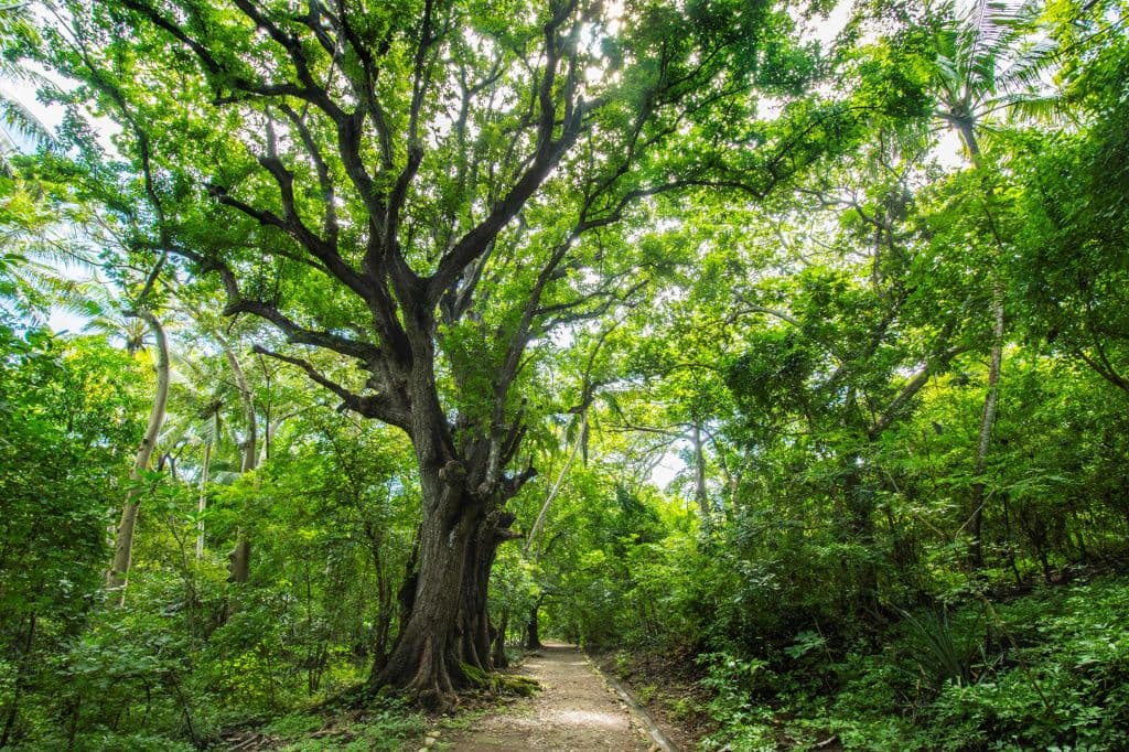 <b>Costa Rica </b>está en el puesto 99, pero aún así no llega a los niveles óptimos que marca la ONU.