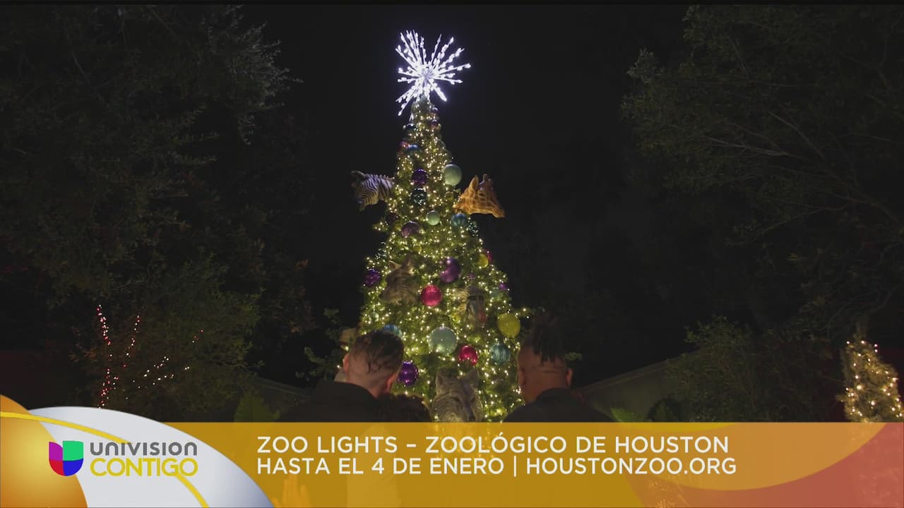 Luces de navidad en Houston y alrededores. Parte 1