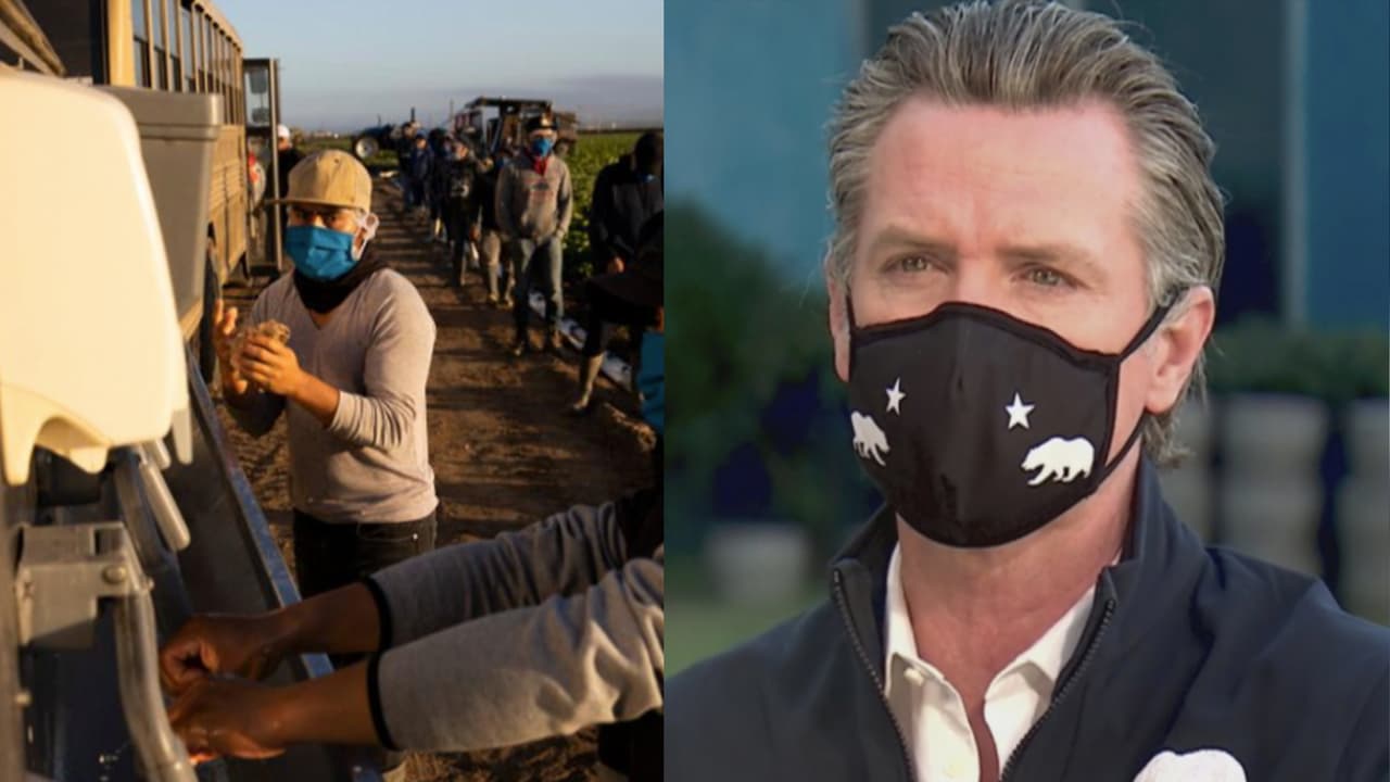 Coronavirus: organizaciones piden a Newsom dosis para vacunar a 50 mil campesinos este mes