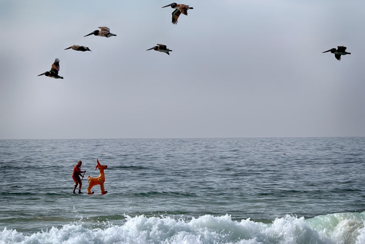 Desde el 2010 se lleva a cabo de manera anual el concurso Surfing Santa & Stand Up Paddle Board Contest en beneficio de Surfers Healing, el campamento de surf original para niños con autismo.
