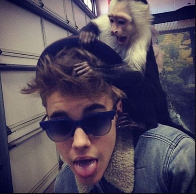 En marzo del 2013, Justin Bieber viajó a Múnich, en Alemania junto con su mono capuchino OG Mally. El animal fue retenido por los oficiales de aduanas y puesto en cuarentena, pese a que el artista explicó que todos los documentos del animal estaban “en regla”.