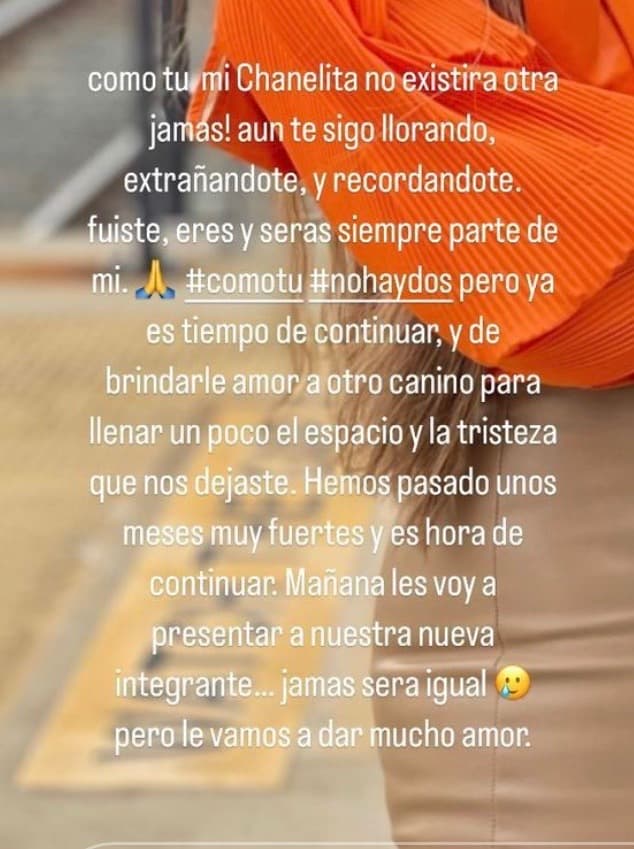 "Fuiste, eres y serás siempre parte de mí. Como tú no hay dos", agregó. 
<br>