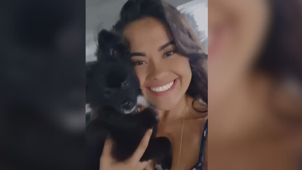 Hispana muere en un accidente de tránsito en Miami: quedó atrapada dentro del auto