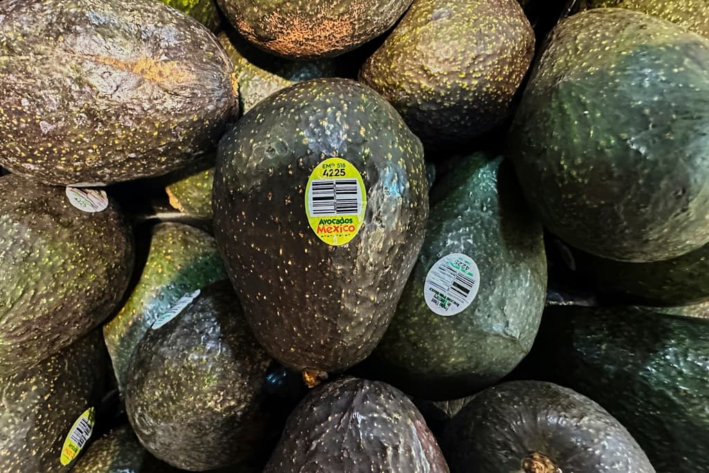 Aguacates de México se exhiben en una tienda de comestibles en Wheeling, Illinois, el jueves 7 de agosto de 2025.