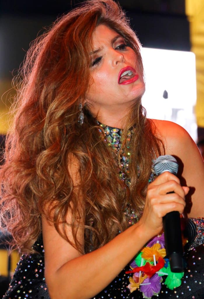 La cantante ofreció un concierto en el desfile del orgullo gay.