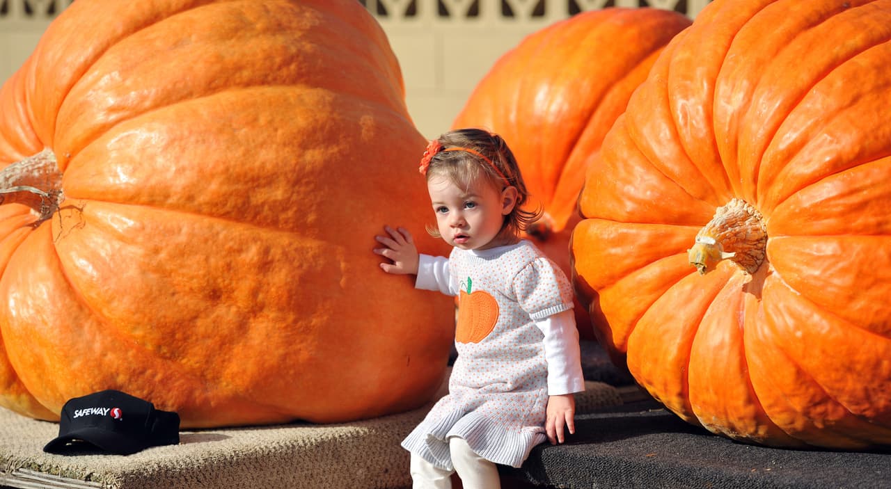 Esta niña nos comprueba que es fiel amante de las calabazas.