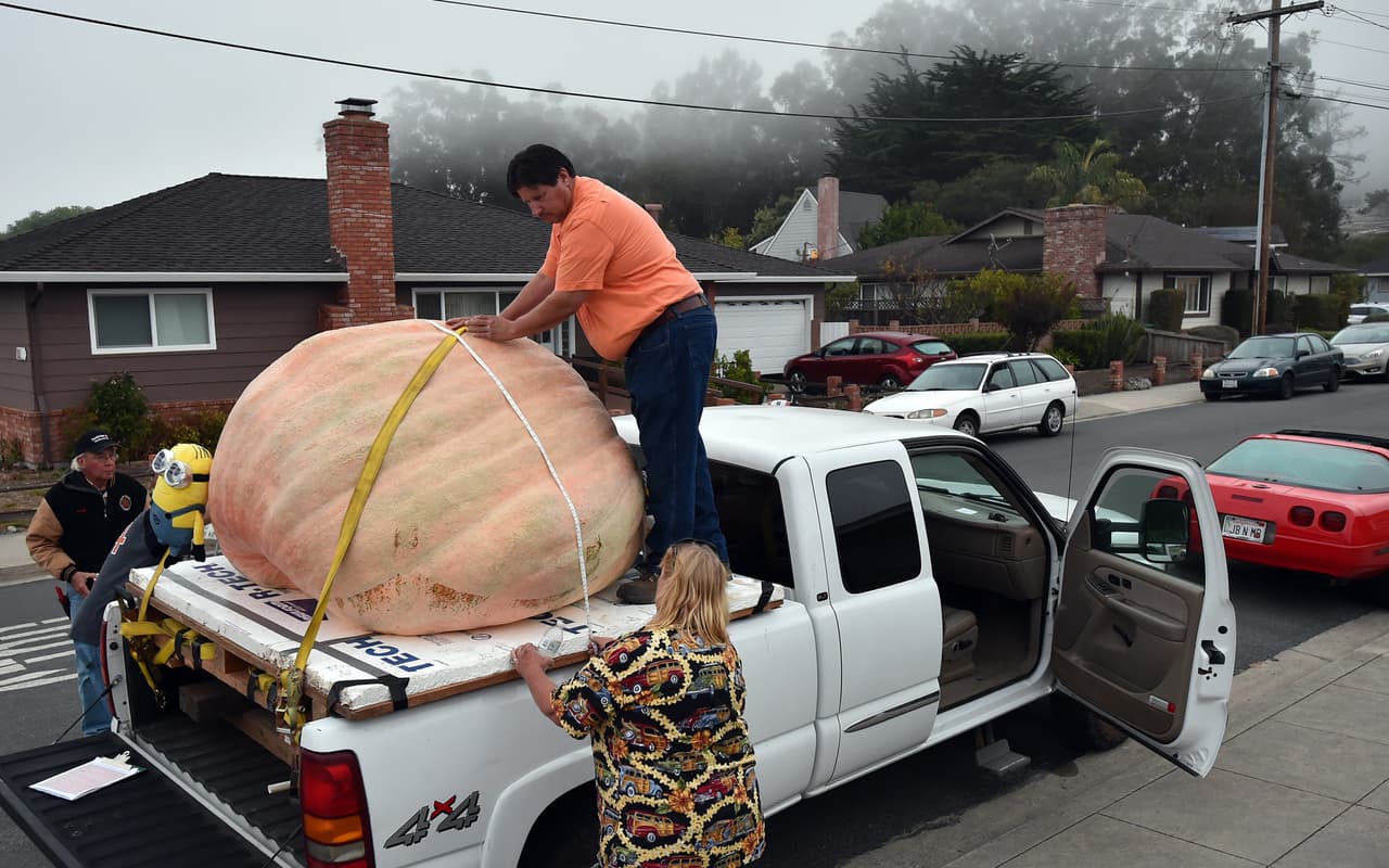 Este evento llamado 'World Pumpkin Capital of Half Moon Bay' recibe a cientos de participantes todos los años, quienes se encargan de intentar producir la calabaza más grande del mundo a lo largo del año.