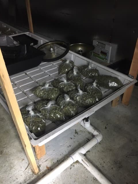 Aproximadamente 40 libras de marihuana fueron descubiertas dentro de un almacén en Sur El Monte.